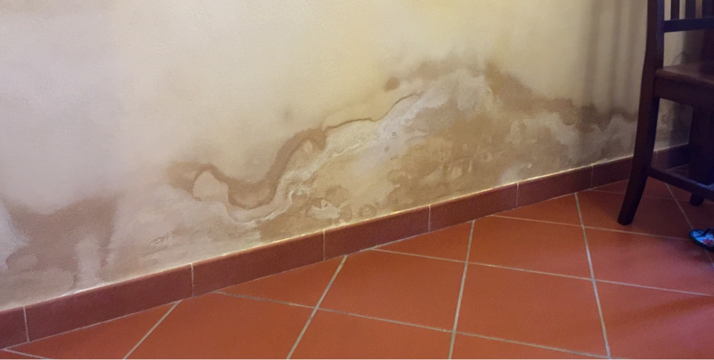 Misuratore di umidità per muri pavimenti mattoni - Fornid
