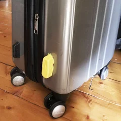 Form Card Termo plastica modellabile riciclabile resistente colorata - immagine 42