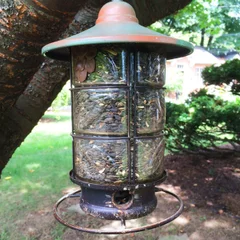 Form Card Termo plastica modellabile riciclabile resistente colorata - immagine 25