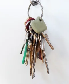 Form Card Termo plastica modellabile riciclabile resistente colorata - immagine 26